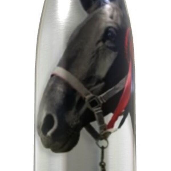 HOOFS WATER BOTTLE/FLASK  Thumbnail